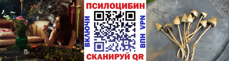 Галлюциногенные грибы ЛСД  Купить закладки  Пудож 